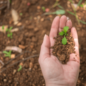 Unveiling the Secrets of Soil Health