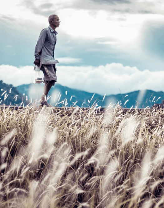 Man walking in farm