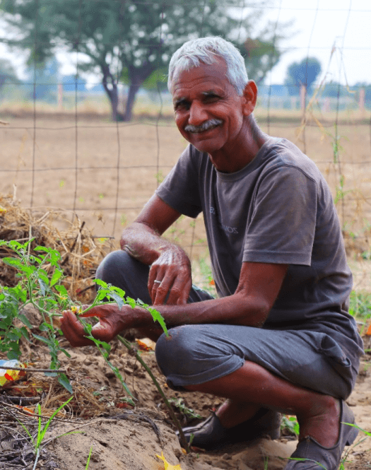 old man in farm